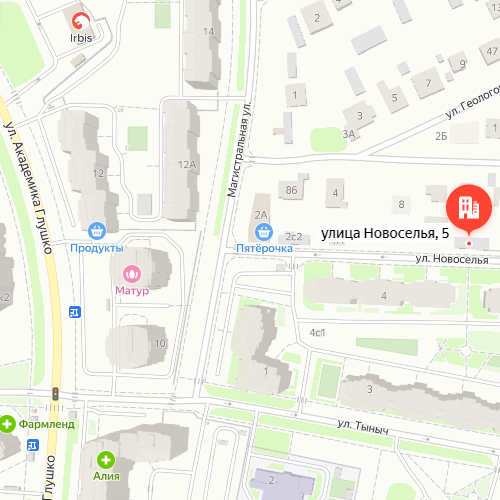 Адрес:г.Казань, ул.Новоселья,5